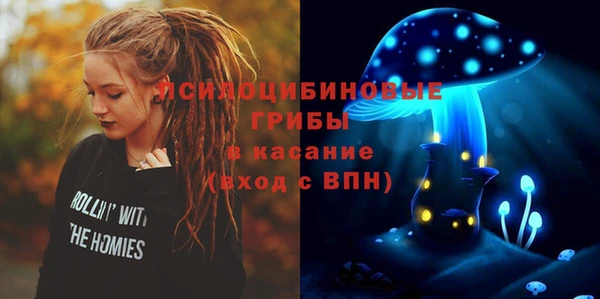 сатива Балахна