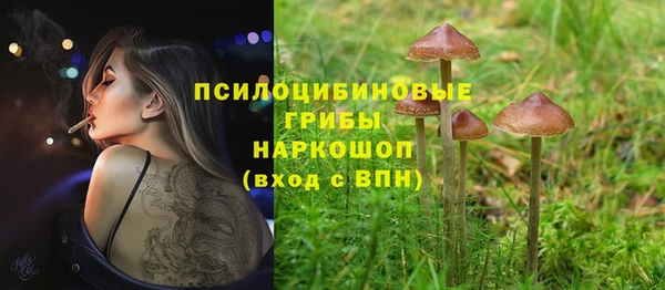 стафф Баксан