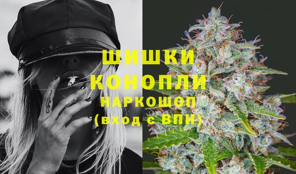дурь Сатка