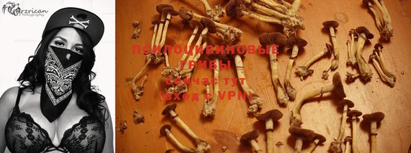 твердый Балабаново
